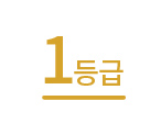 의료평가 1등급